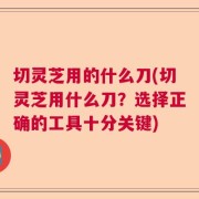 切灵芝用的什么刀(切灵芝用什么刀？选择正确的工具十分关键)