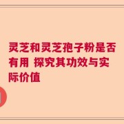 灵芝和灵芝孢子粉是否有用 探究其功效与实际价值