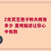 2克灵芝孢子粉大概有多少 直观描述让你心中有数