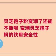 灵芝孢子粉变潮了还能不能喝 变潮灵芝孢子粉的饮用安全性