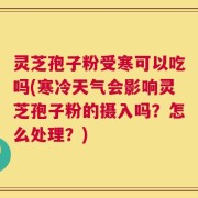 灵芝孢子粉受寒可以吃吗(寒冷天气会影响灵芝孢子粉的摄入吗？怎么处理？)