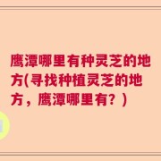 鹰潭哪里有种灵芝的地方(寻找种植灵芝的地方，鹰潭哪里有？)