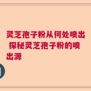 灵芝孢子粉从何处喷出 探秘灵芝孢子粉的喷出源