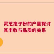 灵芝孢子粉的产量探讨其丰收与品质的关系