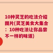 10种灵芝的吃法介绍图片(灵芝美食大集合：10种吃法让你品尝不一样的味道)