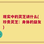 现实中的灵芝讲什么(珍贵灵芝：身体的益友)