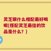 灵芝跟什么相配最好喝呢(搭配灵芝最佳的饮品是什么？)
