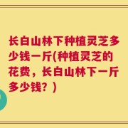 长白山林下种植灵芝多少钱一斤(种植灵芝的花费，长白山林下一斤多少钱？)
