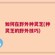 如何在野外种灵芝(种灵芝的野外技巧)