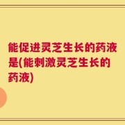 能促进灵芝生长的药液是(能刺激灵芝生长的药液)