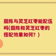 茵陈与灵芝红枣能配伍吗(茵陈和灵芝红枣的搭配效果如何？)