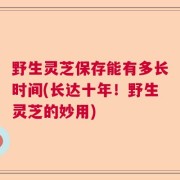 野生灵芝保存能有多长时间(长达十年！野生灵芝的妙用)