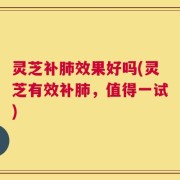 灵芝补肺效果好吗(灵芝有效补肺，值得一试)