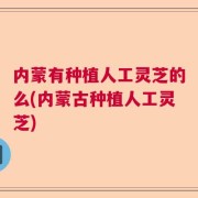 内蒙有种植人工灵芝的么(内蒙古种植人工灵芝)