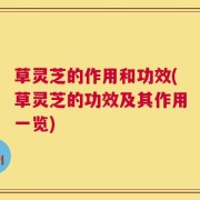 草灵芝的作用和功效(草灵芝的功效及其作用一览)