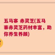 五马寨 赤灵芝(五马寨赤灵芝药材丰富，助你养生养颜)
