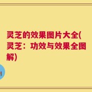 灵芝的效果图片大全(灵芝：功效与效果全图解)