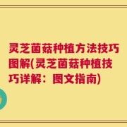 灵芝菌菇种植方法技巧图解(灵芝菌菇种植技巧详解：图文指南)