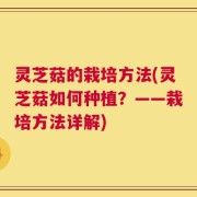 灵芝菇的栽培方法(灵芝菇如何种植？——栽培方法详解)