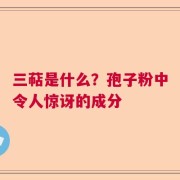 三萜是什么？孢子粉中令人惊讶的成分