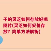 干的灵芝如何存放好呢图片(灵芝如何妥善存放？简单方法解析)
