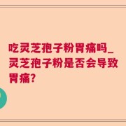 吃灵芝孢子粉胃痛吗_灵芝孢子粉是否会导致胃痛？