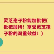 灵芝孢子粉能加枇杷(枇杷加持！享受灵芝孢子粉的双重效益！)