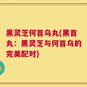 黑灵芝何首乌丸(黑首丸：黑灵芝与何首乌的完美配对)