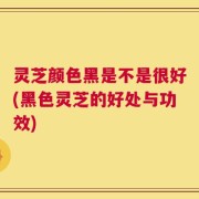 灵芝颜色黑是不是很好(黑色灵芝的好处与功效)