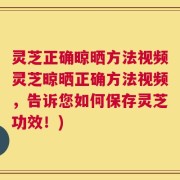 灵芝正确晾晒方法视频灵芝晾晒正确方法视频，告诉您如何保存灵芝功效！)