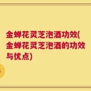 金蝉花灵芝泡酒功效(金蝉花灵芝泡酒的功效与优点)
