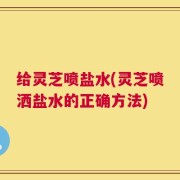 给灵芝喷盐水(灵芝喷洒盐水的正确方法)