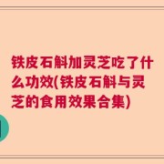 铁皮石斛加灵芝吃了什么功效(铁皮石斛与灵芝的食用效果合集)