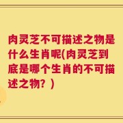 肉灵芝不可描述之物是什么生肖呢(肉灵芝到底是哪个生肖的不可描述之物？)
