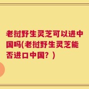 老挝野生灵芝可以进中国吗(老挝野生灵芝能否进口中国？)