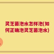 灵芝菌泡水怎样泡(如何正确泡灵芝菌泡水)