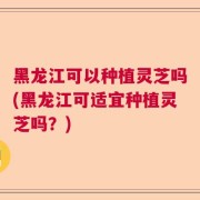 黑龙江可以种植灵芝吗(黑龙江可适宜种植灵芝吗?)