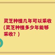 灵芝种植几年可以采收(灵芝种植多少年能够采收？)