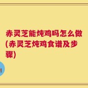 赤灵芝能炖鸡吗怎么做(赤灵芝炖鸡食谱及步骤)