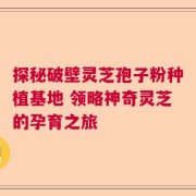 探秘破壁灵芝孢子粉种植基地 领略神奇灵芝的孕育之旅