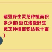 诸暨野生灵芝种植面积多少亩(浙江诸暨野生灵芝种植面积达数十亩)