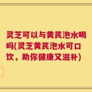 灵芝可以与黄芪泡水喝吗(灵芝黄芪泡水可口饮，助你健康又滋补)