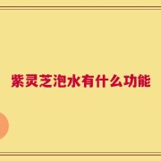 紫灵芝泡水有什么功能