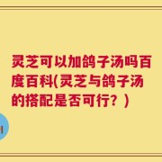 灵芝可以加鸽子汤吗百度百科(灵芝与鸽子汤的搭配是否可行？)