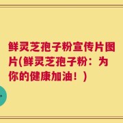 鲜灵芝孢子粉宣传片图片(鲜灵芝孢子粉：为你的健康加油！)