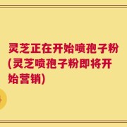 灵芝正在开始喷孢子粉(灵芝喷孢子粉即将开始营销)