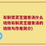 石斛煲灵芝猪骨汤什么功效石斛灵芝猪骨汤的功效与作用简介)