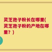 灵芝孢子粉长在哪里(灵芝孢子粉的产地在哪里？)