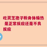 吃灵芝孢子粉身体燥热 是正常反应还是不良反应