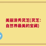 美丽清秀灵芝(灵芝：自然界最美的宝藏)